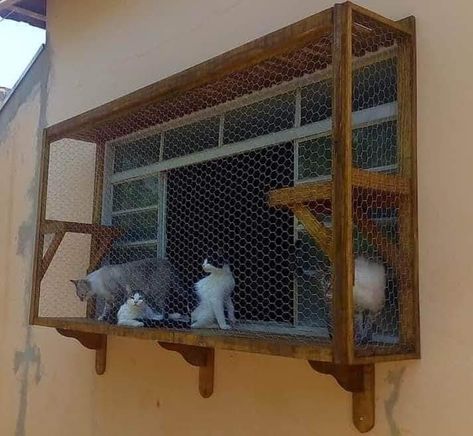 Diy Cat Enclosure, Katt Diy, Cat Habitat, Outdoor Pet Enclosure, Cat Castle, Cat Fence, Cat Patio, Gato Cat, Outdoor Cat Enclosure