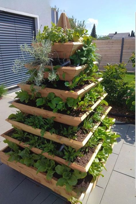 Tired of backaches from berry picking? Explore the magic of strawberry pyramid planters, designed for effortless harvesting. Elevate your garden's charm and enjoy a plentiful strawberry harvest. Learn more now! 🍓🌿 #StrawberryPyramid #HarvestingTips #GardenDesign Trellis Ideas Garden, Outdoor Trellis Ideas, Pyramid Planter, Vegetable Trellis, Garden Trellis Ideas, Bra Tips, Trellis Ideas, Outdoor Trellis, Diy Trellis