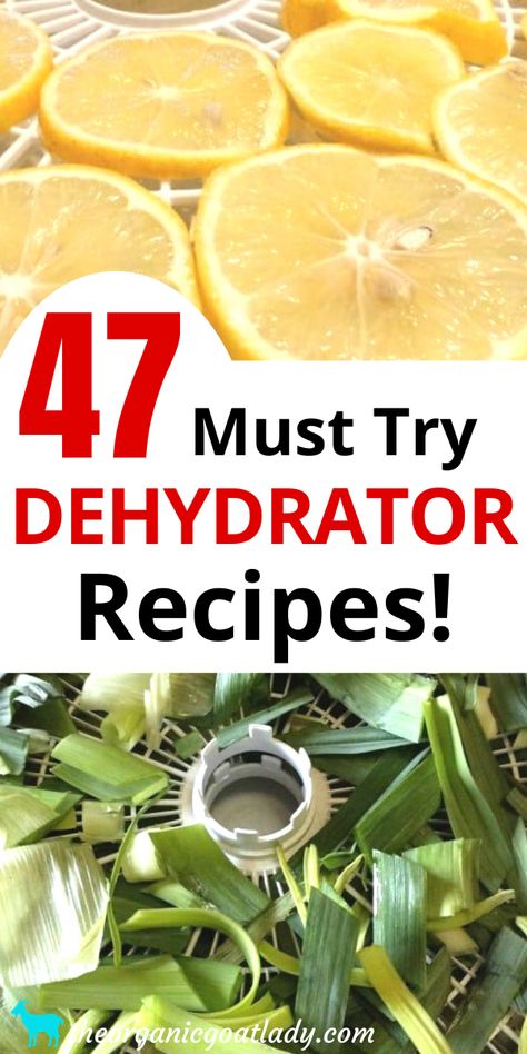 Dehydrate Meat, Dehydrate Vegetables, Food Dehydrator Recipes, Dehydrator Recipes Fruit, Dehydrating Food Storage, Food Dehydration, Dehydrated Vegetables, Canning Food Preservation, Canned Food Storage