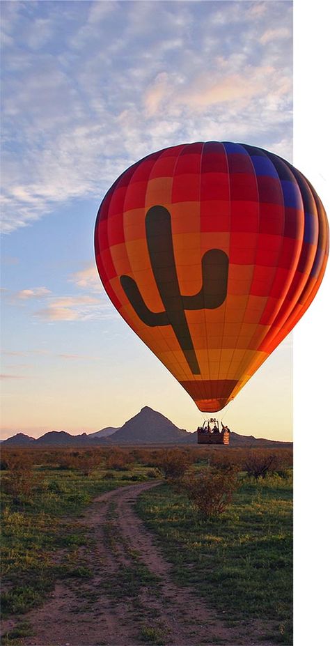 Hot Air Expeditions – Balloon Rides in Arizona Hot Air Balloon Ride Pictures, Arizona Hot Air Balloon, Teotihuacan Hot Air Balloon, Hot Air Balloons Photography, Hot Air Balloon Wedding, Hot Air Balloon Albuquerque New Mexico, Hot Air Balloon Mexico City, Civil Air Patrol, Air Ballons