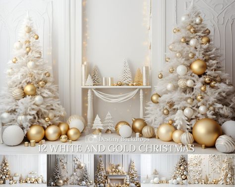 12 Christmas White and Gold Christmas Decorations Digital Backdrops Bundle 🌟 Elevate your holiday photography with our stunning White and Gold Christmas Baubles Digital Backdrops Bundle, a collection of 20 high-quality, professionally designed digital scenes. This bundle offers you the perfect canvas to create enchanting and festive images for the holiday season. 🎄 Capture the magic of Christmas with these meticulously crafted backdrops. Each one features exquisite white and gold Christmas bau Xmas Backdrop, White Gold Christmas, White And Gold Christmas, Tree Background, Christmas Tree Background, Holiday Images, Holiday Photography, Gold Christmas Decorations, Gold Christmas Tree