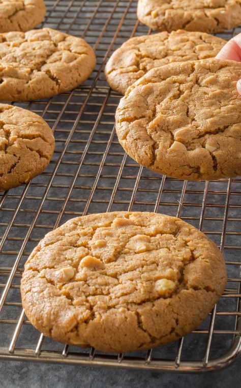 Chewy Peanut Butter Cookies: We found that a ratio of about 30 percent saturated fat (butter) to 70 percent unsaturated fat (peanut butter) yields the chewiest cookies. A half-cup of finely chopped dry-roasted peanuts provides another layer of nutty flavor and a bit of crunch. Nutty Peanut Butter Cookies, Americas Test Kitchen Peanut Butter Cookies, Chewiest Cookies, Work Treats, Poppy Seed Cookies, Peanut Butter Icing, Peanut Cookies, Chewy Peanut Butter Cookies, Cookies Bars