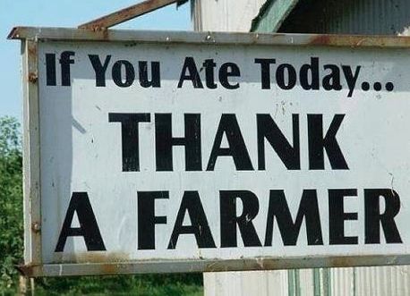 Growing up on a dairy farm definitely had it perks and taught me a strong work ethic, but at the same time it put me into a category of people that are like no other... Farmer's Daughters! From spe... Farm Sayings, Thank A Farmer, Farm Quotes, Western Things, Farming Life, Farm Wife, Farm Living, Life Quotes Love, A Farmer