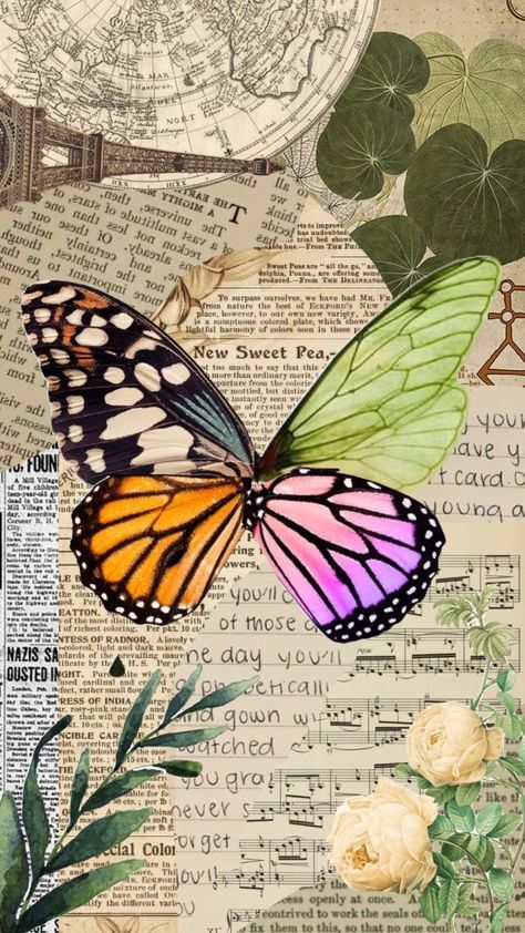 Paper butterfly #paper #butterfly Butterflies Collage, Colorful Fabric Patterns, Butterfly Collage, Laptop Background, Butterfly Cutout, Creative Post, Butterflies Art, Beautiful Butterflies Art, Butterfly Images