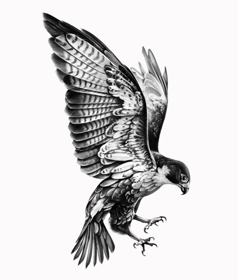 Falcon Flying Tattoo, Maltese Falcon Tattoo, Bird Upper Arm Tattoo, Hawk And Snake Tattoo, Traditional Falcon Tattoo, Falcon Tattoo Men, Eagle Sketch Tattoo, Buzzard Tattoo, Falken Tattoo