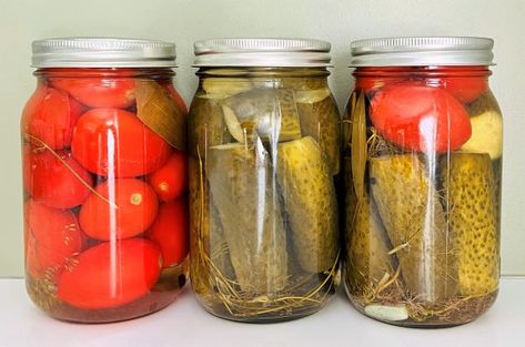 How To Open Kettle Can Pickles And Pickled Vegetables Open Kettle Pickles, Open Kettle Canning, Can Pickles, Canning Sweet Pickles, Canned Juice, Food Preserving, Canning Pickles, Pickle Slices, Water Bath Canning