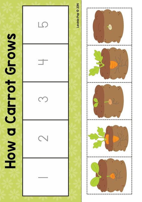 Apps Development PinWire: Spring Math Centers for Kindergarten | School Projects | Kindergarten ... 21 mins ago - Spring Math Centers for Kindergarten. How a carrot grows sequencing activity.  Source:www.pinterest.com Results By RobinsPost Via Google Flower Life Cycle Preschool, Plant Life Cycle Worksheet, Math Centers For Kindergarten, Sequencing Activities Kindergarten, Plants Kindergarten, Plant Lessons, Centers For Kindergarten, Preschool Garden, Plant Activities