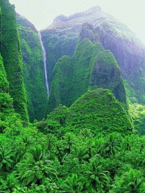 Nuku Hiva island Nuku Hiva, Marquesas Islands, Tahiti French Polynesia, Waterfall Landscape, Landscape Model, Waterfall Photography, Beautiful Places In The World, French Polynesia, South Pacific