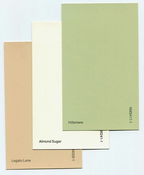 Accent Colors For Sage Green, Small Kitchen Colors, Kitchen Color Palettes, Sage Green Kitchen, Green Kitchen Cabinets, Kitchen Walls, Interior House Colors, Kitchen Wall Colors, Brown Bathroom