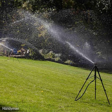 Run All Sprinklers at Once When Using Well Water Above Ground Sprinkler System, Common Lawn Weeds, Lawn Problems, Greener Grass, Growing Grass, Water Grass, Lawn Care Tips, Lush Lawn, Lawn Sprinklers