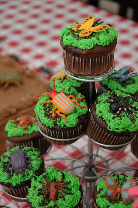 It's a fact, kids love bugs! Why not throw a bug themed birthday party for your little boy or girl (yes, some girls love bugs too). Great bug birthday party ideas, favors and decorations! Black Bottom Cupcakes, Bug Cupcakes, Kids Birthday Party Food, Bug Cake, Unique Cupcakes, Girl Cupcakes, Kids Party Food, Love Cupcakes, Birthday Party Food