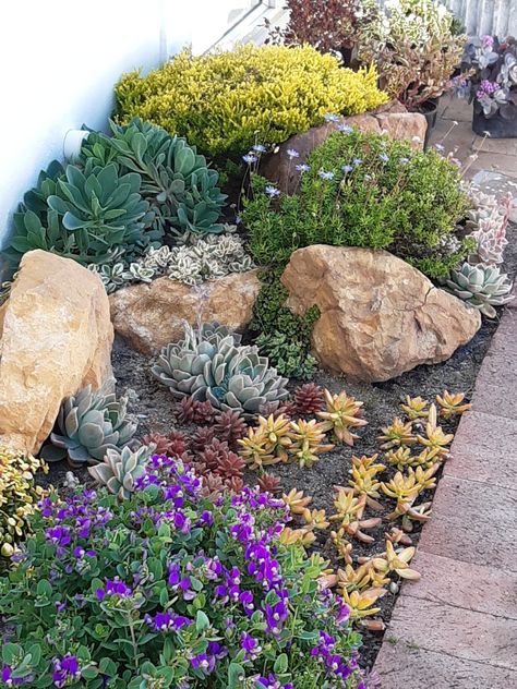 Rocks And Plants Landscaping, Park Strip Landscaping Ideas Rocks, Rock Garden Flowers, Mediterranean Rock Garden, Rock Lined Flower Bed, Small Rockery Garden Ideas, Natural Rock Landscaping, Small Garden Rockery, Succulent Front Yard Landscaping