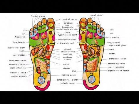 Foot Massage | Self Foot Massage Techniques | Chinese Foot Reflexology Pressure Points & Benefits - YouTube #massageforhealth Massage Therapist Gifts, Reflexology Foot Chart, Hand Reflexology, Reflexology Chart, Trigger Point Therapy, Reflexology Massage, Foot Reflexology, Therapist Gifts, Alternative Therapies