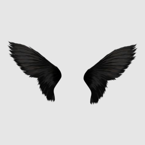 #appicon #appicons #app #icon #logo #cover #widget #ios14 #ios14homescreen #homescreen #apple #iphone #samsung #phone #wallpaper #background #customicon #ios16 #grey #gray #aesthetic #floral #flowers #rose Anime Demon Wings, Silly Quizzes, Dark Angel Wings, Angel Wings Png, Wing Tattoos On Back, Types Of Angels, Side View Drawing, Angel Clipart, Night Of The Demons