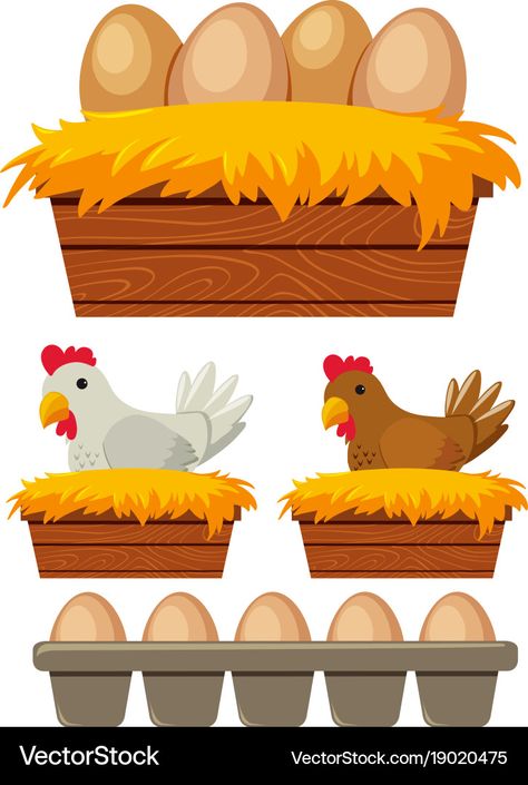 Nest Illustration, Chicken And Eggs, Telur Ayam, Animal Illustration Kids, Chicken Vector, Egg Nest, The Nest, Chicken Eggs, Freelance Graphic Design