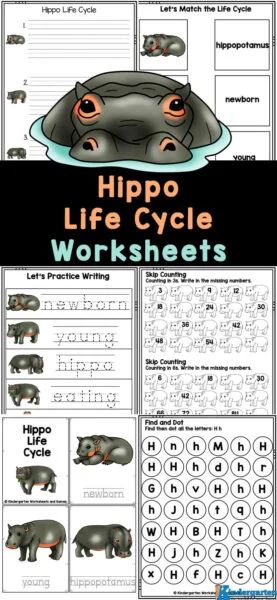 Hippo Activities For Preschool, Hippo Activities, Hippopotamus Song, Ocean Animals For Kids, Fish Life Cycle, Plant Life Cycle Worksheet, Cycle For Kids, Fiona The Hippo, Savanna Animals