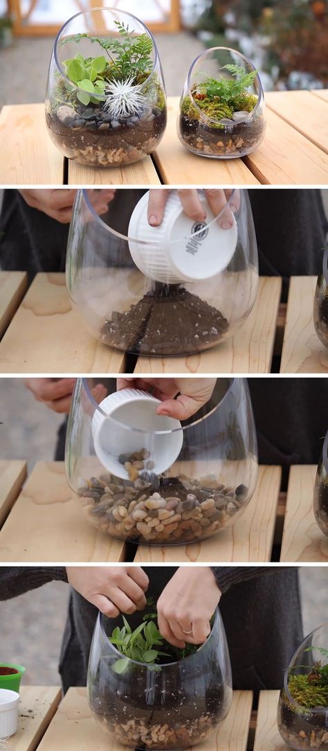 UM DIY ensinando a como fazer terrários com recipientes de vidro! Spring Video, Make A Terrarium, Terrariums Diy, Modern Terrarium, Cactus Terrarium, Diy Succulent Terrarium, Succulent Bowls, Diy Terrarium, نباتات منزلية