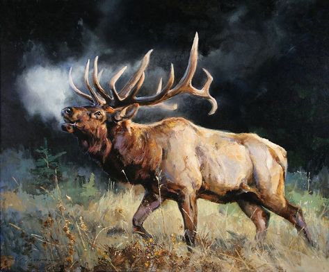 Artist Luke Frazier Elk Pictures, Jackson Hole Art, Deer Artwork, Bull Elk, Hunting Art, Deer Painting, Vibes Art, Deer Art, Wildlife Paintings