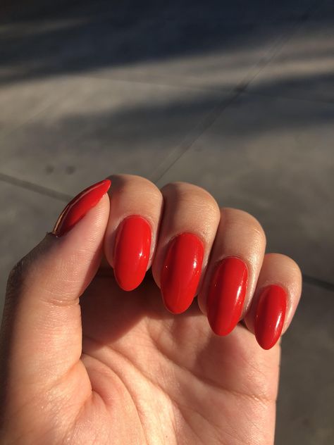 Orangey Red Nails, Blood Orange Nails, Orange Red Nails, Red Orange Nails, Cute Red Nails, Orange Acrylic Nails, Nails Trend, Red Manicure, Daisy Nails