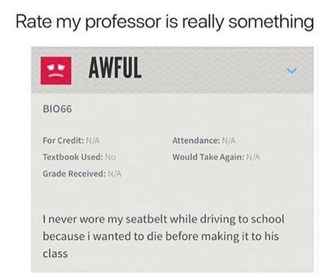 Rate my professor is a treasure trove of good times. Rate My Professor, College Professor, How Can, Daily Dose, Good Times, Funny Memes, Humor, Memes, Funny