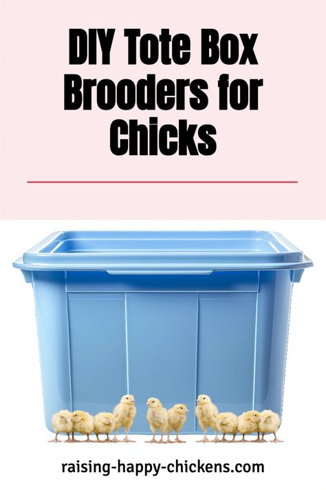 Here's a simple, inexpensive idea for a DIY chicken brooder tote for baby chick housing. Let’s look at ideas for a simple, small brooder for chicks which you can make inexpensively and contains everything your new chickies need in their first couple of weeks post-hatch. You'll also be able to use it year after year no matter how often you raise new chicks! Continue reading >> Diy Chick Brooder Ideas, Chicken Brooder Ideas, Diy Chicken Brooder, Chicken Brooder Box, Chick Brooder, Brooder Box, Chicken Brooder, Backyard Coop, Baby Chicks Raising