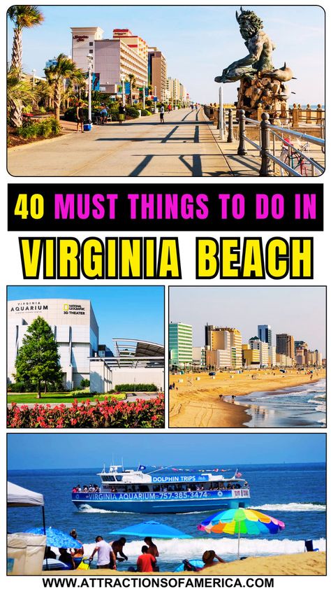 Collage of famous Virginia Beach attractions with text reading 40 must things to do in Virginia Beach. Places To Visit In Virginia, Virginia Beach Boardwalk, Things To Do In Virginia, Virginia Beach Vacation, Virginia Beach Virginia, Beach Place, Cool Things To Do, Virginia Travel, Travel Bucket List Usa