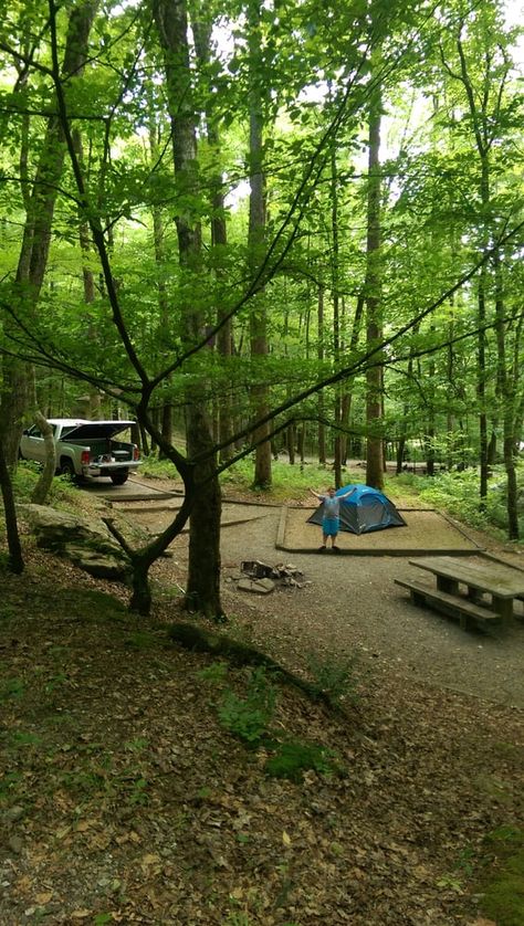 The Secret Campground in the Middle of Northern Georgia Is a Total Dreamscape Georgia Attractions, Clayton Ga, Waterfalls In Georgia, Northern Georgia, Affordable Family Vacations, Glamping Tents, Camping Site, Georgia Vacation, Camping Park