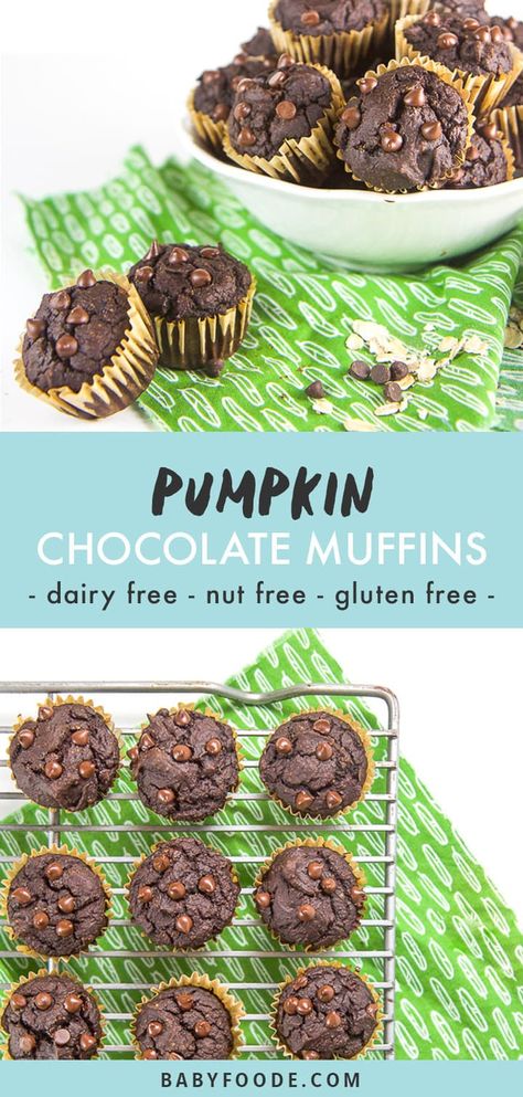 These Allergy Friendly Pumpkin Chocolate Muffins for Toddlers and Kids are about to rock your world! Not only are they gluten free, dairy free and nut free but they are beyond delicious and kids of all ages will eat them up! They are perfect as a quick breakfast, after school snack, or to pack in a lunch to take to school. These healthy fall muffins are kid friendly and 100% mom approved! #muffins #kidfriendly #glutenfree #dairyfree #nutfree Muffins For Toddlers, Kid Breakfast, Chocolate Pumpkin Muffins, Fall Muffins, Toddler Muffins, Breakfast Chocolate, Dairy Free Snacks, Kid Snacks, Dairy Free Breakfasts