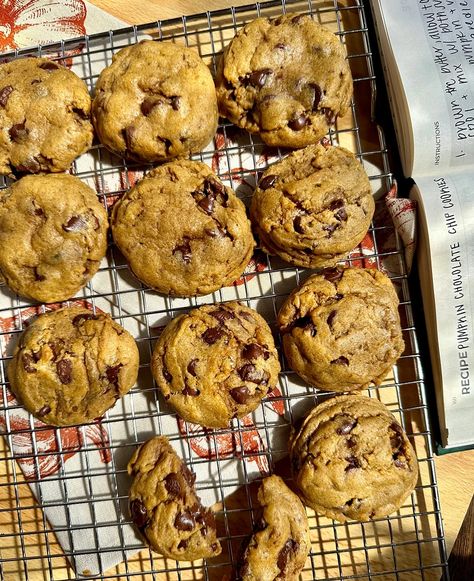 Moist & Delicious Brown Butter Pumpkin Chocolate Chip Cookies (With VIDEO) - Munchies By Mallory Brown Butter Cookies, Brown Butter Chocolate Chip Cookies, Pumpkin Chocolate Chip Cookies, Pumpkin Chocolate Chip, Pumpkin Chocolate Chips, Perfect Cookie, Pumpkin Cookies, Pumpkin Chocolate, Baked Pumpkin