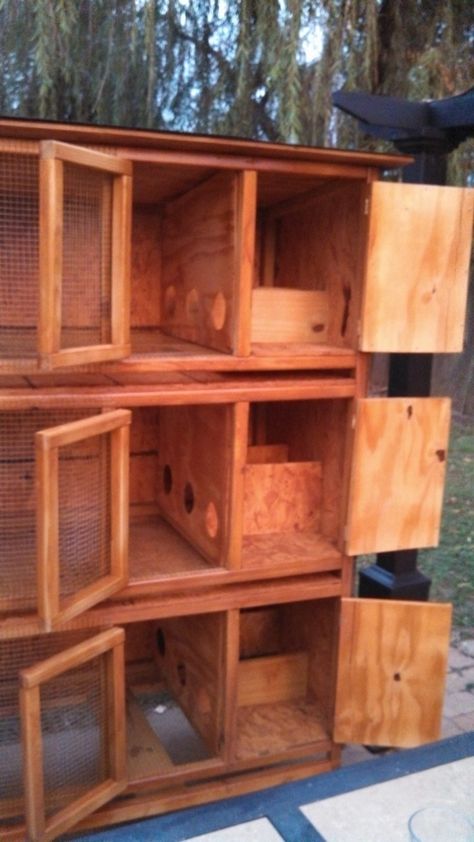 Click this image to show the full-size version. Quail Cage Ideas, Cortunix Quail, Quail Pen, Quail House, Quail Cage, Button Quail, Quail Coop, Raising Quail, Raising Rabbits