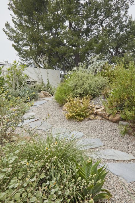 Australian Garden Design, Park Project, Low Water Gardening, Australian Native Garden, Man In A Suit, Dry Garden, Australian Garden, Gravel Garden, Coastal Gardens