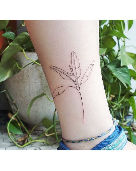 Women Plant Tattoo, Banana Tree Tattoo Minimalist, Banana Tree Leaf Tattoo, Banana Plant Tattoo, Banana Leaves Tattoo, Banana Tree Tattoo, Minimal Plant Tattoo, Banana Leaf Tattoo, Ira Tattoo