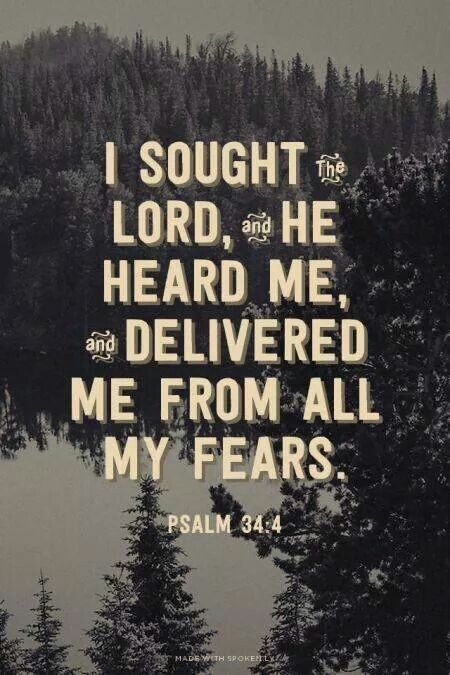 He delivered me from all my fears Bible Verses About Fear, Verses About Fear, Psalm 34 4, A Bible Verse, Spirit Of Fear, Psalm 34, After Life, The Perfect Guy, Scripture Quotes