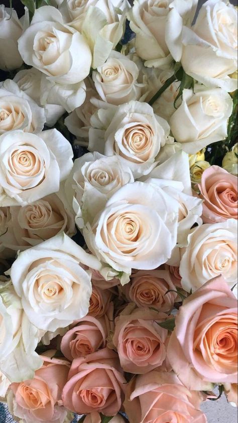 Roses Bouquet Gift, Fresh Cut Roses, Bulk Wedding Flowers, Very Beautiful Flowers, Wholesale Roses, Diy Bouquets, Beautiful Wallpapers For Iphone, Body Art Photography, Cute Tumblr Wallpaper