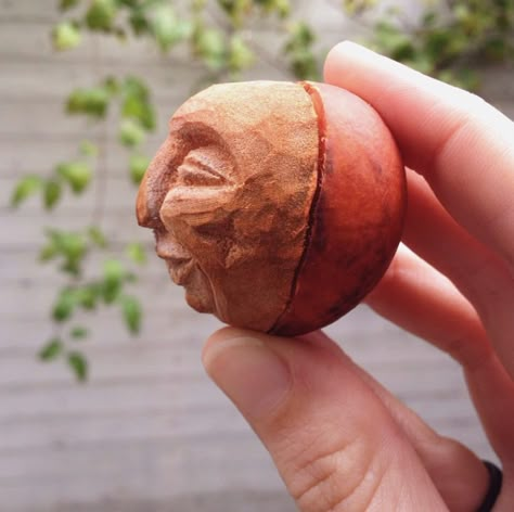 Attention Avocado Lovers! You're Doin' It Wrong | LIVEKINDLY Avocado Pits, Avocado Pit, Avocado Art, Seed Art, Dremel Carving, Avocado Seed, Dremel Projects, Wood Carving Patterns, Wood Carving Tools