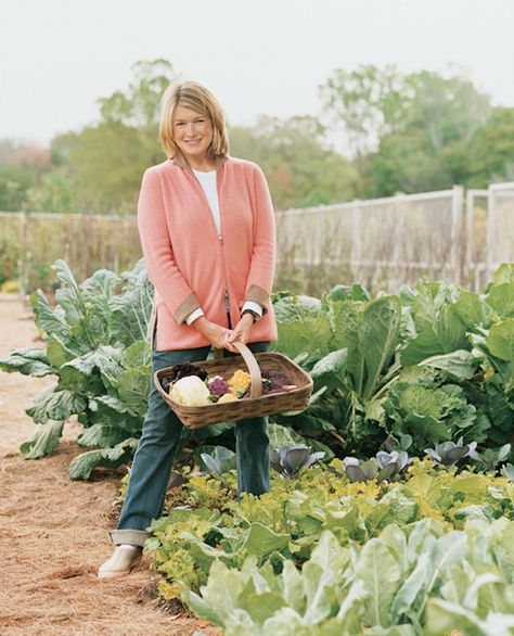 11 garden ideas from martha-stewart Gardening Tricks, Martha Stewart Home, Vegetable Garden Tips, Easy Gardening, Garden Guide, Vegetable Gardening, Veggie Garden, Seed Starting, Edible Garden