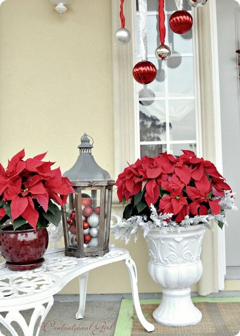 Christmas: Porch Poinsettias in an urn and in a planter. Love the lantern filled with red an silver christmas ornaments. Christmas Lights Outside, Holiday Lanterns, Christmas Front Porch, Christmas Porch Decor, Have Inspiration, Front Porch Decorating, Christmas Lanterns, Front Porch Christmas Decor, Christmas Porch