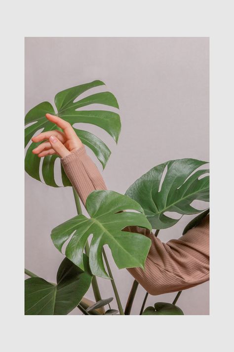 Photoshoot With Plants, Plants Are Friends, Self Portrait Photography, Plant Photography, Plant Aesthetic, Studio Photoshoot, Flower Photography, London Photography, Foto Art