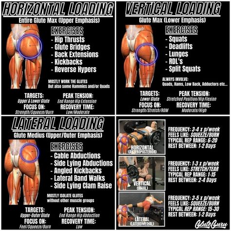 Glute Medius, Leg And Glute Workout, Buttocks Workout, Gym Tips, Different Exercises, Workout Plan Gym, Hip Workout, Gym Workout Videos, Gym Workout Tips