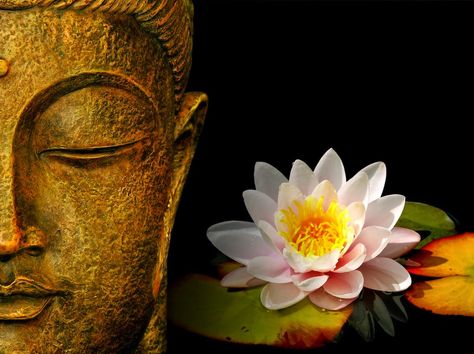 buddha-face-with-lotus-flower-hd-wallpaperClick the link now to find the center in you with our amazing selections of items ranging from yoga apparel to meditation space decor! Wesak Day, Zen Wallpaper, Buddhism Wallpaper, Zen Pictures, Buddha Face, Buddha Zen, Zen Buddhism, Spiritual Cleansing, Thich Nhat Hanh