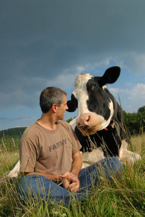 Meet These 3 Adorable Rescued Cows and Their Human Best Friends Farm Sanctuary, Animal Sanctuary, Cute Cows, Animal Rights, Animals Friends, Animal Kingdom, Farm Animals, Animals Beautiful, Animal Rescue