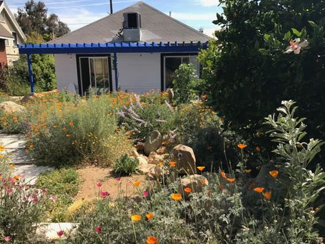 5 garden landscape design styles that use drought-tolerant California native plants – Daily News Native Garden Design, California Native Landscape, California Landscaping, Native Plant Garden, California Native Garden, Drought Tolerant Landscape, California Native Plants, Native Plant Gardening, California Garden