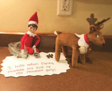 Elf Reindeer Poop, Elf On The Shelf Reindeer Poop, Elf Poop Ideas, Elf On Shelf Pooping, Elf On The Shelf Poop, Elf Poop, Reindeer Poop, Elf Ideas Easy, Elf Activities