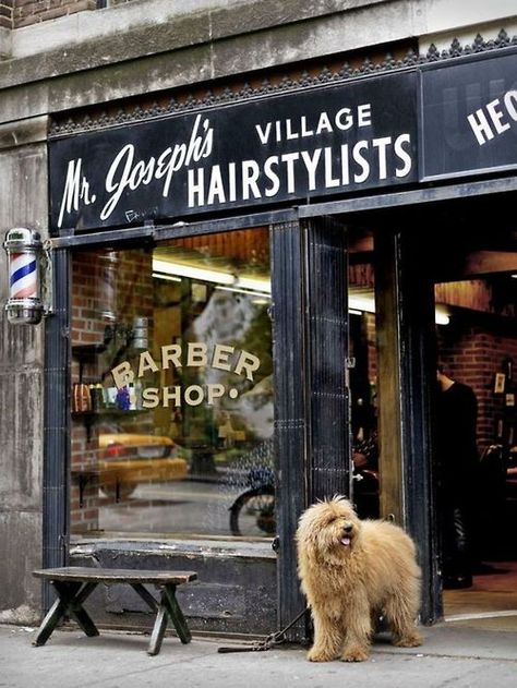 Mister Joesph is a dish! <3 York Dog, Barbershop Design, Barber Shop Decor, Shop Fronts, Shop Front, Design Sponge, Store Front, Shop Window, 인테리어 디자인