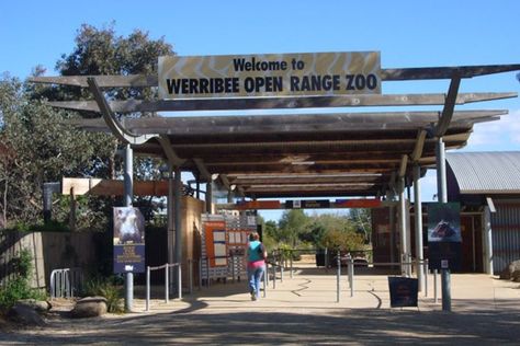 Werribee Open Range Zoo, Werribee Park, Melbourne, Victoria. Werribee Open Range Zoo is an African themed zoo in Werribee, about 32 kilometres (20 mi) south-west of Melbourne, Victoria, Australia. It is part of the Zoological Parks and Gardens Board or 'Zoos Victoria' which also includes Melbourne Zoo and Healesville Sanctuary. It is situated on approximately 225 hectares (560 acres) and is located on the Werribee River in Werribee Park, adjacent to the Werribee Mansion. Melbourne Zoo, Open Range, Melbourne Victoria, Victoria Australia, Melbourne Australia, Study Abroad, Corporate Events, Mansion, Places Ive Been