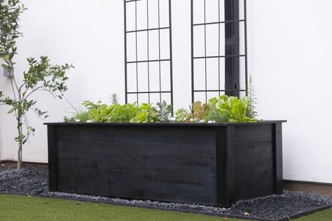 Can You Stain Raised Garden Beds? • Gardenary Black Raised Beds, Paint Raised Garden Beds, Black Garden Beds, Black Raised Garden Beds, Painted Raised Garden Beds, Raised Veg Beds, Raised Bed Herb Garden, Outdoor Garden Bed, Raised Herb Garden