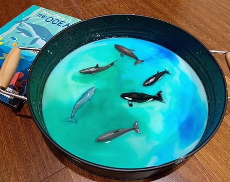 Corn Starch And Water, Play Ideas, Sensory Play, Sea Animals, Corn Starch, Food Coloring, Under The Sea, Super Easy, The Sea