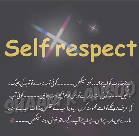 Self Respect Quotes In Urdu, Self Respect Quotes Women, Facts Of Life Quotes, Great Dad Quotes, Self Respect Quotes, Impress Quotes, Quotes Women, Mothers Love Quotes, Respect Quotes