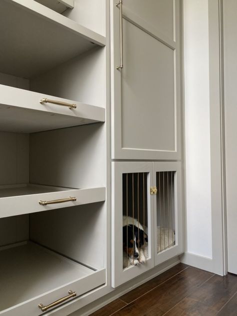 Convert Cabinet to Dog Crate - Sawdust 2 Stitches Cabinet With Dog Kennel, Kitchen Island Dog Crate Built Ins, Mudroom With Built In Dog Crate, Homemade Dog Crate Furniture, Closet With Dog Crate, Dog Crate Built In Cabinet, Dog Kennel Closet, Dog Food Cabinet, Dog Cabinet