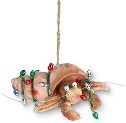 AmazonSmile: Cape Shore Beachy Coastal Holiday Hermit Crab Christmas Ornament : Home & Kitchen Nautical Christmas Ornaments, Crab Ornament, Resin Christmas, Nautical Christmas, Beachy Christmas, Coastal Holiday, Christmas Light Ornament, Hermit Crab, Coastal Christmas